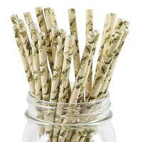 Paper Straws Camouflage Pattern - Eco Friendly Wedding Straws - Dozens of Designs & Perfect For Any Party! Frozen Dessert Supplies - 25 Count