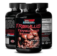Natural Herbal Male Stamina and Endurance Booster - Tribulus Terrestris Extract 1000mg - Top Natural Testosterone Booster - Premium Qaulity (1 Bottle 90 Tablets)