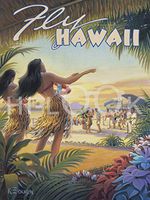 Hi-Look Microfiber Cleaning Cloth - Fly Hawaii