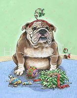 Hi-Look Microfiber Cleaning Cloth - Happy Howl-idays