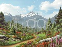 Hi-Look Microfiber Cleaning Cloth - To the Mountain