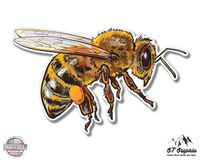 GT Graphics Honey Bee - 5" Vinyl Sticker - for Car Laptop I-Pad - Waterproof Decal