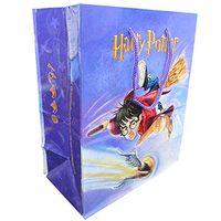 HARRY POTTER Small Gift Bag (1ct)