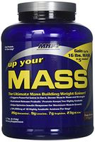 MHP - Up Your Mass Fudge Brownie - 4.7 lbs