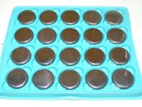 CR2450 3V Lithium Coin/Button Cell Battery - Lot of 20 - Titan USA - Super Cell