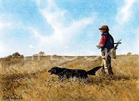 Hi-Look Microfiber Cleaning Cloth - Windswept