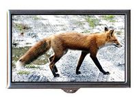 Red Fox Beautiful Cute Color Photo Decorative Pill Box