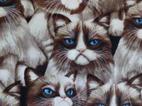 'NUGGLEBUDDY Moist Heat & Aromatherapy Organic Rice Pack for Microwave for Cat Lovers! DARLING Grumpy Feline Fabric. UNSCENTED. The PURR-FECT Gift!