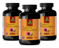 antioxidant Anti Aging - Echinacea Extract & Goldenseal Root Complex - goldenseal Pills - 3 Bottles (180 Capsules)