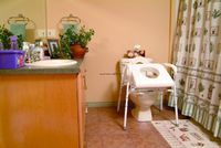 One Each Uplift Commode Assist UPLIFT TECH INC