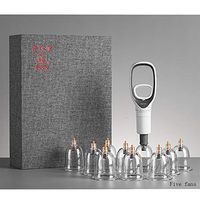 Cupping Therapy Sets,Vacuum Suction 10 Cups Sets for Cellulite Cupping Massage，Chinese Cupping Therapy Pump