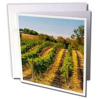 3dRose USA, Eastern Washington, Walla Vineyards Greeting Cards, 6" x 6", Set of 12 (gc_191803_2)