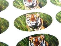 Minilabel Pack Of 48 Tiger Seals , 40X20mm Oval Seal Labels, Stickers For Gift Wrapping, Presents, Envelopes, Bags Or Cards