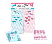 Lillian Rose Baby Gender Reveal Voting Board with Stickers, Pink/Blue, 14" x 11"