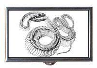 Snake Skeleton Victorian Gothic Scary Graphic Decorative Pill Box