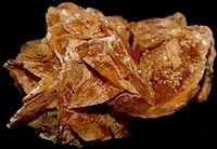 Desert Rose Gypsum Selenite Family Crystal DES1805