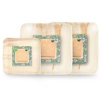 Palm Fridays Ecoware Square Disposable Plates - Compostable - 100% Natural - Chemical Free - USDA Certified (50, 6 Inch)