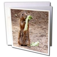 3dRose Meerkat with Lettus - Greeting Cards, 6 x 6 inches, set of 12 (gc_11847_2)