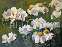 Hi-Look Microfiber Cleaning Cloth - Dancing Matilija Poppies