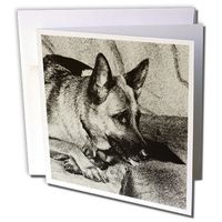 3dRose German Shepherd - Greeting Cards, 6 x 6 inches, set of 6 (gc_4622_1)
