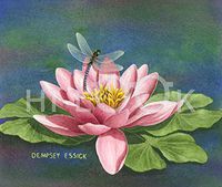 Hi-Look Microfiber Cleaning Cloth - Dragonfly