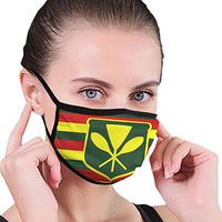 YOFFYO Comfort Mouth Covers Adjustable Elastic Strap Anti Allergy Mouth-Muffle for Dust Painting, Boys Girls Adults - Anti Pollution (Native Hawaiian Flag Mouth Cover)