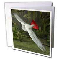 3dRose Congo African Grey Parrot - Greeting Cards, 6 x 6 inches, set of 12 (gc_60732_2)