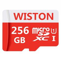 WASINT 256GB Micro SD SDXC Card High Speed Class 10 Memory SD Card with SD Adapter
