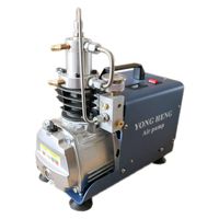 YONG HENG 4500PSI Air Compressor 110V PCP 30 MPa High Pressure System Rifle Inflator PCP Rifle Airgun Scuba Air Pump Portable Air Compressors (Simple Version)