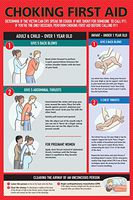 Safety Supply Mart Choking First Aid Poster for Kids and Adults, Infants, Pregnants, 12' x 18", Laminated