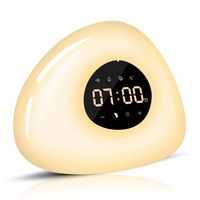 Elfeland Wake Up Light Sunrise Simulation LED Alarm Clock Dimmable Warm White Light & Color Changing RGB Night Light Touch Control Bedroom Light 10 Alarm Sounds/8 Scene Lights/Snooze/10 Brightness