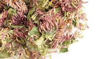 Red Clover Tops Whole (1 lb)