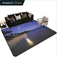 Hawaiian Moiré Kids' Rugs, Houses Clear Sky Full Moon Reflection at Daybreak on a Hawaii Beach Exotic Life, Durable Carpet Area rug - Living Dinning Room Bedroom Rugs and Carpets(3'x 8') Navy Sand