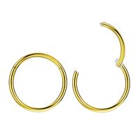 FANSING 2pcs 20g 6mm Nose Hoop Cartilage Earring Hoop Nose Ring 14k Gold Nose Rings 20 Gauge Helix Earring Hoop Septum Ring Daith Earrings Tragus Earrings Surgical Steel Small Hoop Earrings