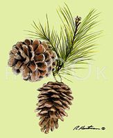 Hi-Look Microfiber Cleaning Cloth - Pine Cones, Maine State Flower