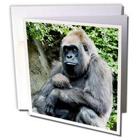 3dRose Greeting Cards, 6 x 6 Inches, Pack of 12, Gorilla Mom and Baby (gc_203171_2)