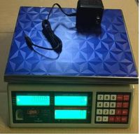 Part Counting Scale 66 LB by 0.001 LB Accuracy, Any Purpose Weighing Scale 30 kg by 0.5 Gram