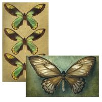 World Buyers Decorative Matches, Butterflies, Set of 2 Matchboxes