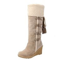 for Shoes,AIMTOPPY Women's Shoes After Sanding with Tassels High Boots Sleeves Wedges Snow Boots