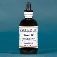 Olive Leaf - 4 OZ (Natural Herbal Extracts)