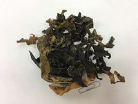 昆布 / 海带 | E04 Kun Bu | Hai Dai | Kelp