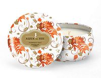 SOI Company The Aqua de SOI 100% Premium Natural Soy Candle, Limited Edition Seasonal Scent, 9 Ounces (Pumpkin Chai)