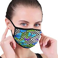 Mouth Masks for Dust Protection Anti Face Mask Washable Earloop Mask Blue Butterfly