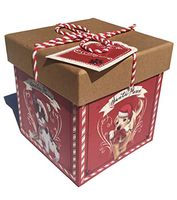 Molly & Rex Santa Paws Glitter Embellished Gift Box with Lid, Red (31525)