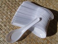 Asian Soup Spoons 100 Plastic 4.5 in. Spoon Disposable Soup Spoons