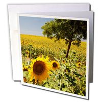 3dRose Spain, Andalusia, Tree in Field of Sunflowers. Greeting Cards, 6" x 6", Set of 6 (gc_205429_1)