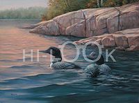 Hi-Look Microfiber Cleaning Cloth, bird design - Shoreline Solitude - Loon