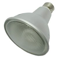 Bulbrite CF15PAR30WW Compact Fluorescent PAR30, Warm White