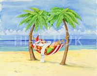 Hi-Look Microfiber Cleaning Cloth - Hammock Santa
