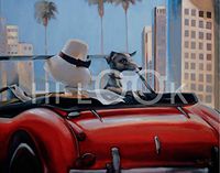 Hi-Look Microfiber Cleaning Cloth - Glam Life